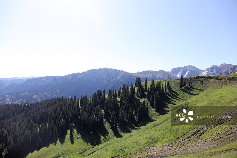 中国新疆高山草原素材图片素材