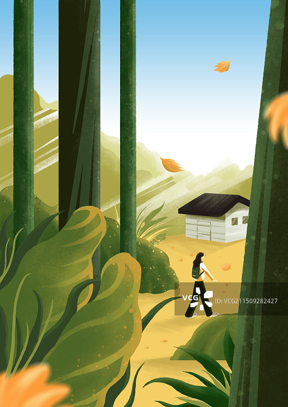 秋天户外大自然森林徒步图片素材