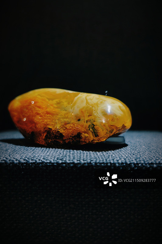 天津博物馆琥珀展图片素材