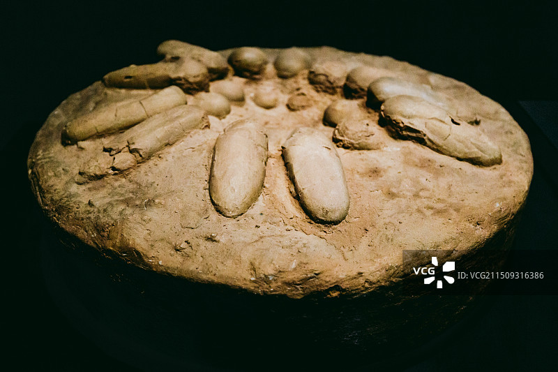 位于呼和浩特的内蒙古博物院的晚白垩世恐龙蛋（窃蛋龙类）化石图片素材