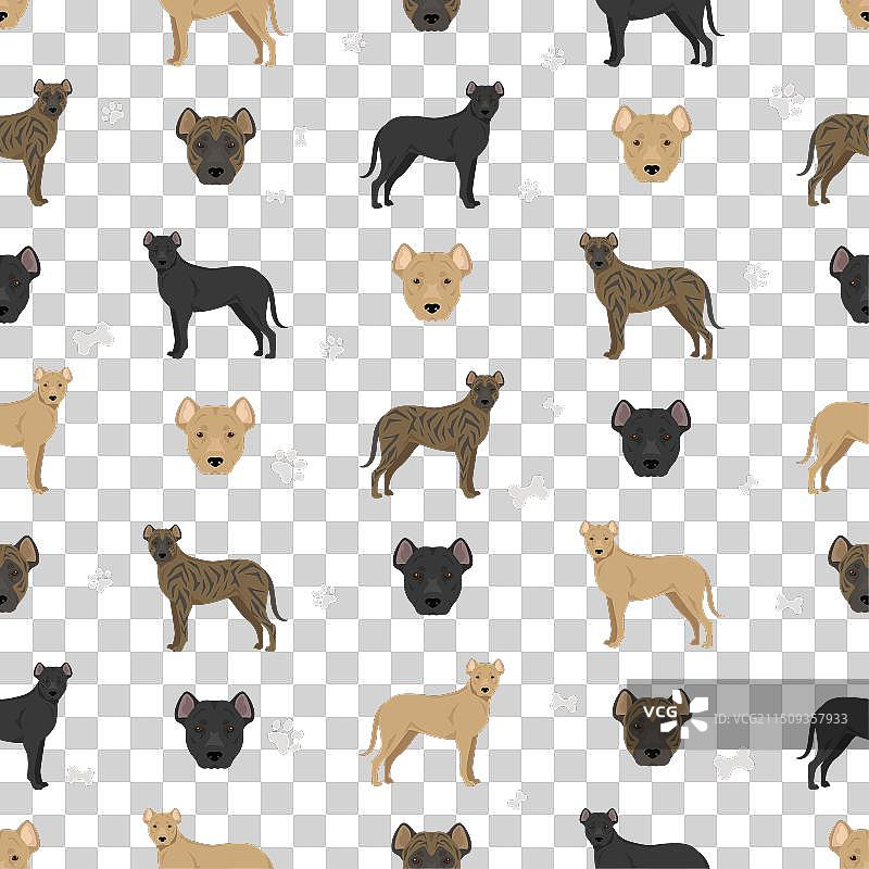 各种毛色的乌拉圭西马龙犬无缝图案图片素材