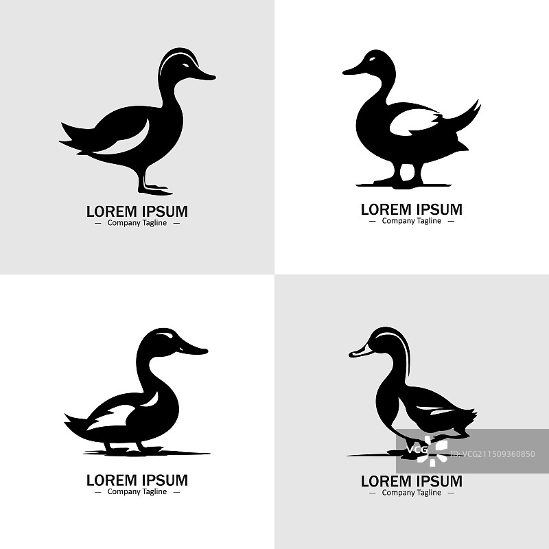 鸭子轮廓标志合集图片素材