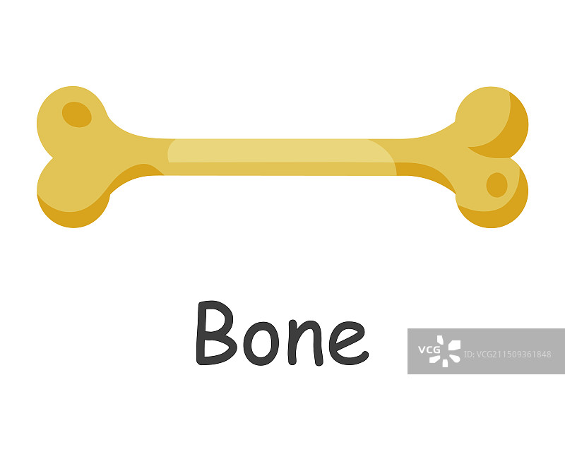人体骨骼部位扁平图（白色背景）图片素材