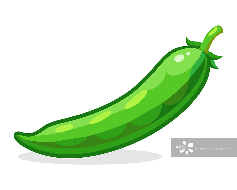 白色背景上的扁平青豆蔬菜图片素材