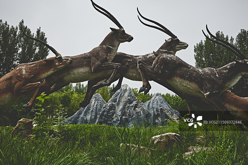 天津南湖绿博园图片素材