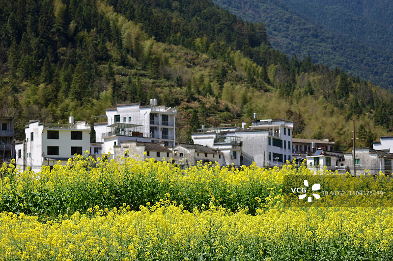 上饶思溪延村景区图片素材