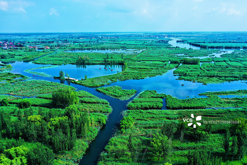 蓝天白云湖水蓝。荷花芦苇蛙声甜郭里口图片素材