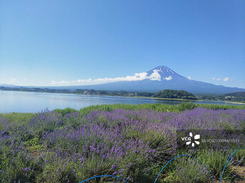 富士山图片素材