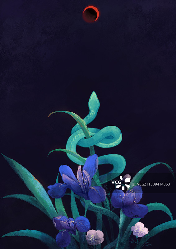 蛇与花夜景插画图片素材