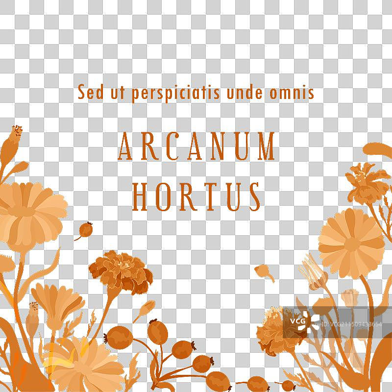 花卉或草药产品图片素材