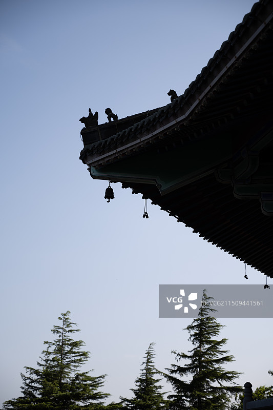 胶州少海公园图片素材