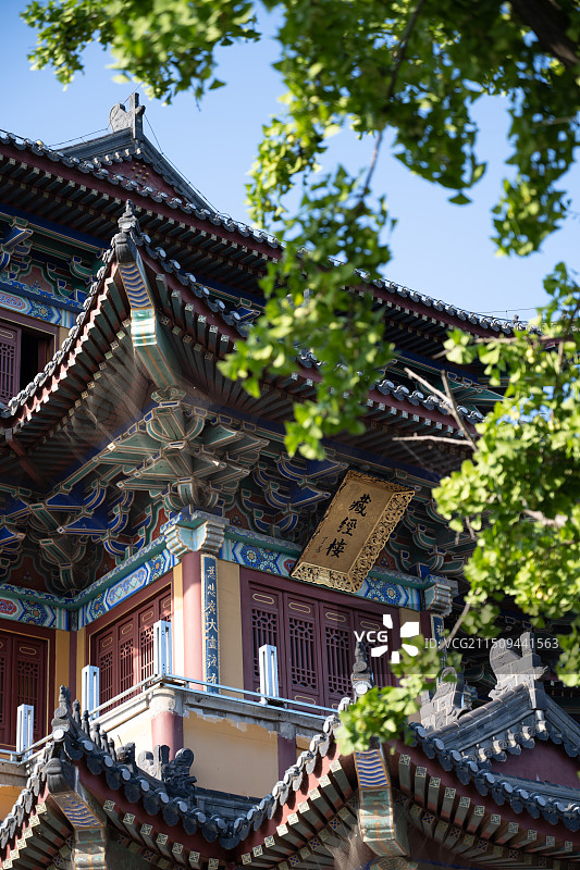 胶州少海公园图片素材