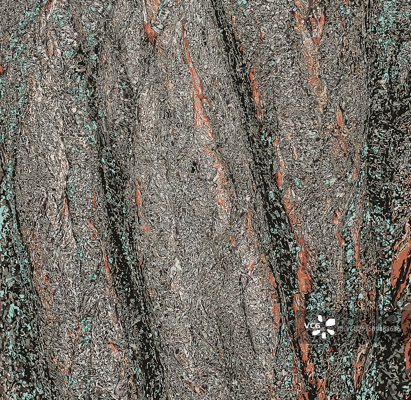 李树皮背景图片素材