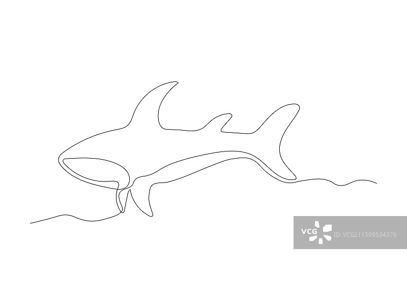 抽象鲨鱼单线艺术画图片素材