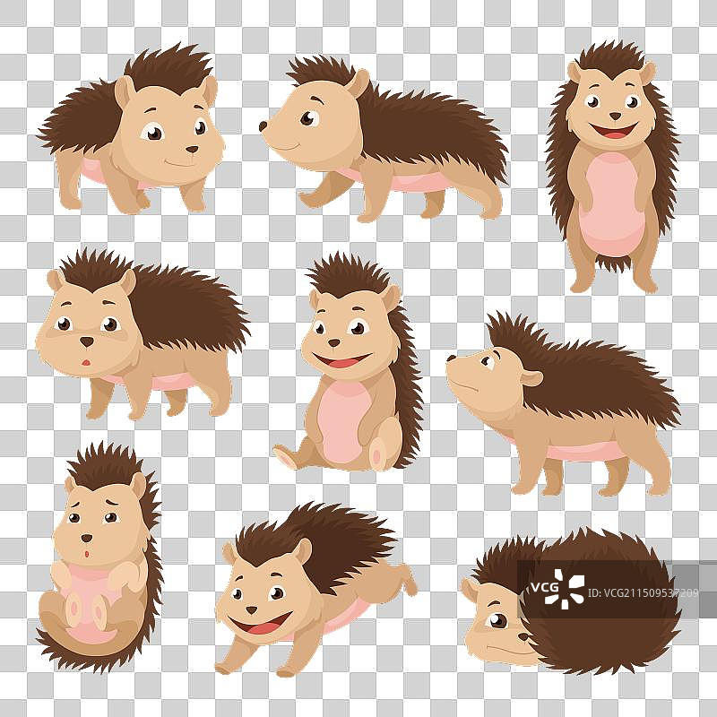 可爱的野生森林动物小刺猬图片素材