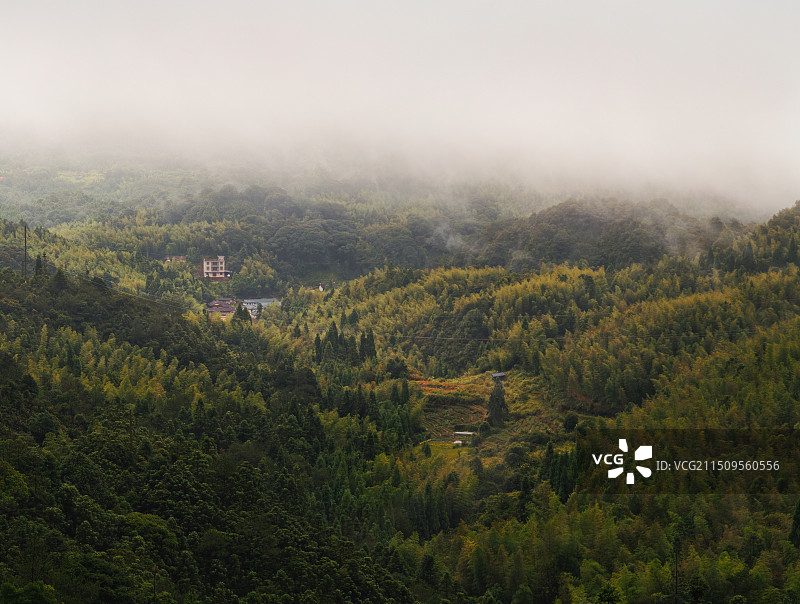 福建漳州贡鸭山森林公园雾中山谷景观图片素材