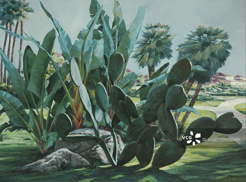 仙人掌图片素材