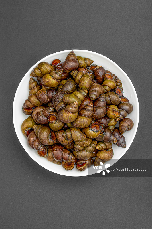 新鲜的特色田螺食材图片素材