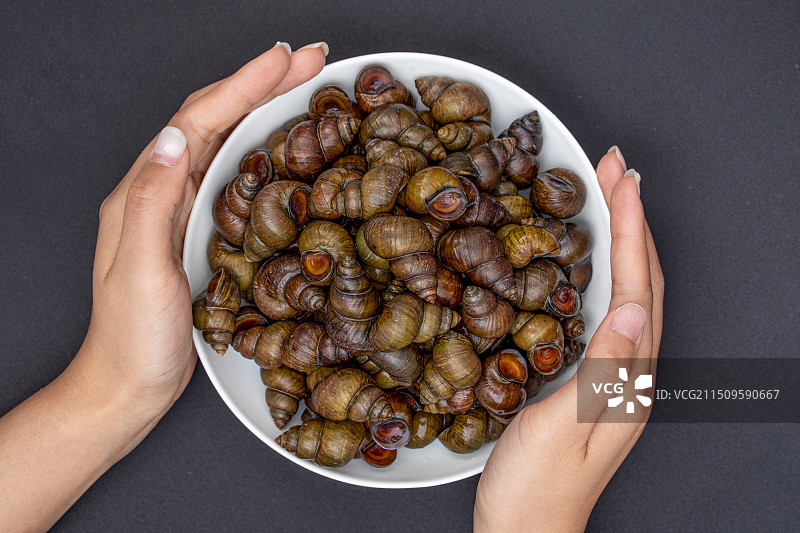 新鲜的特色田螺食材图片素材