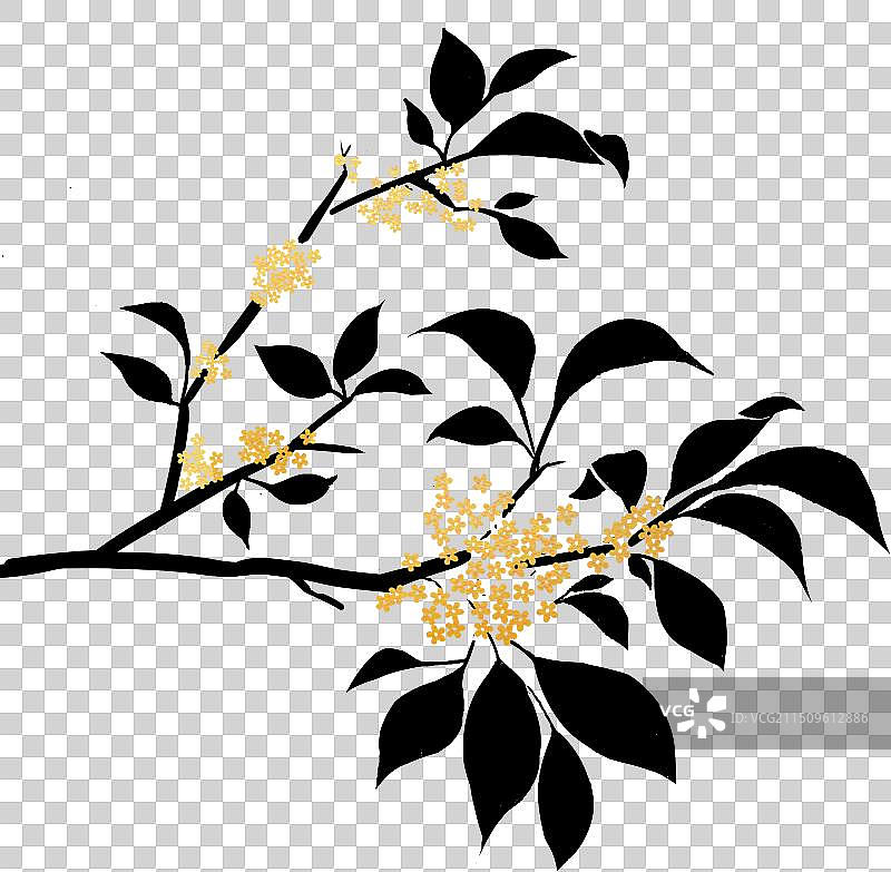 金桂桂花树枝剪影图片素材