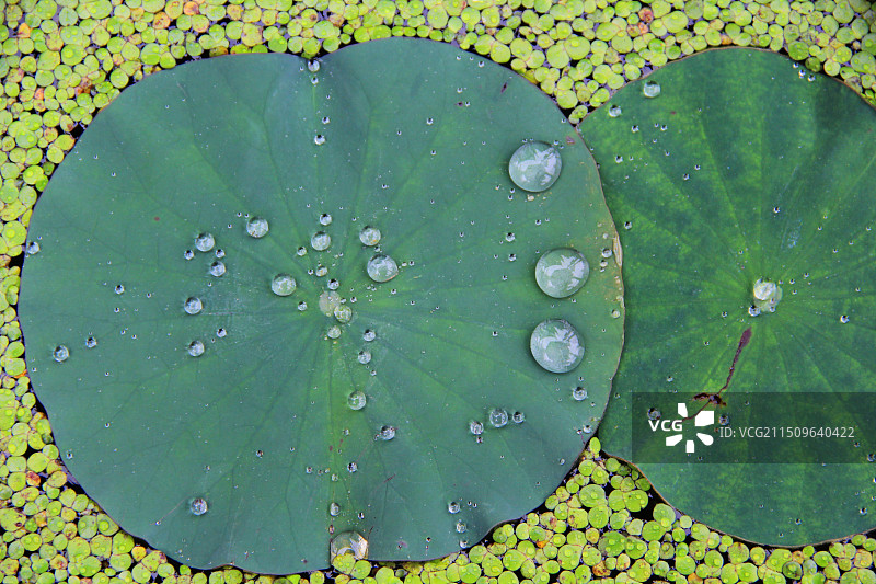 南京的日与夜图片素材