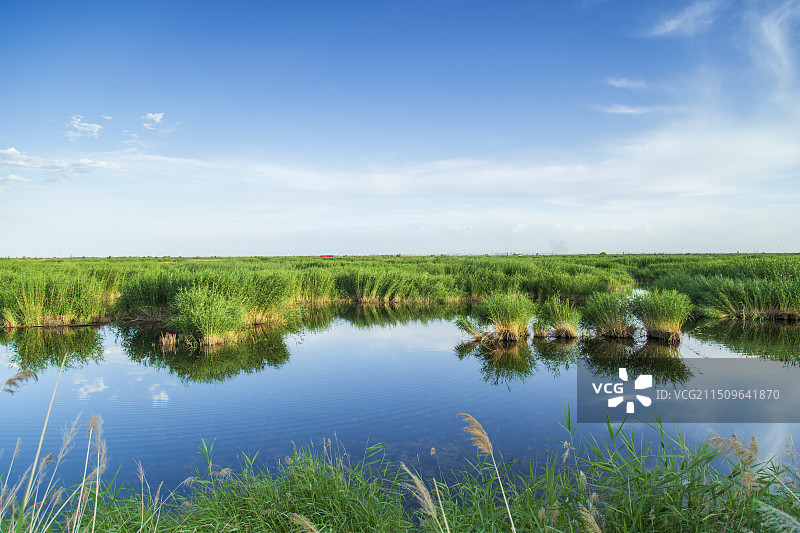 包头南海湿地景区图片素材