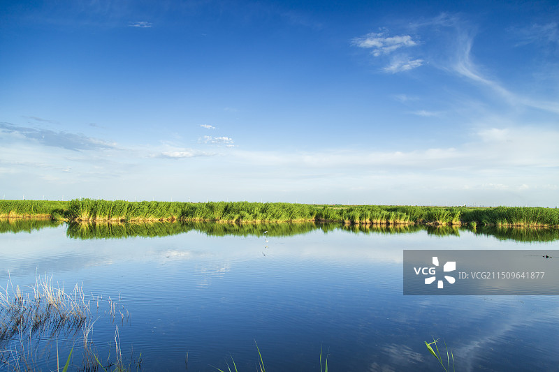 包头南海湿地景区图片素材
