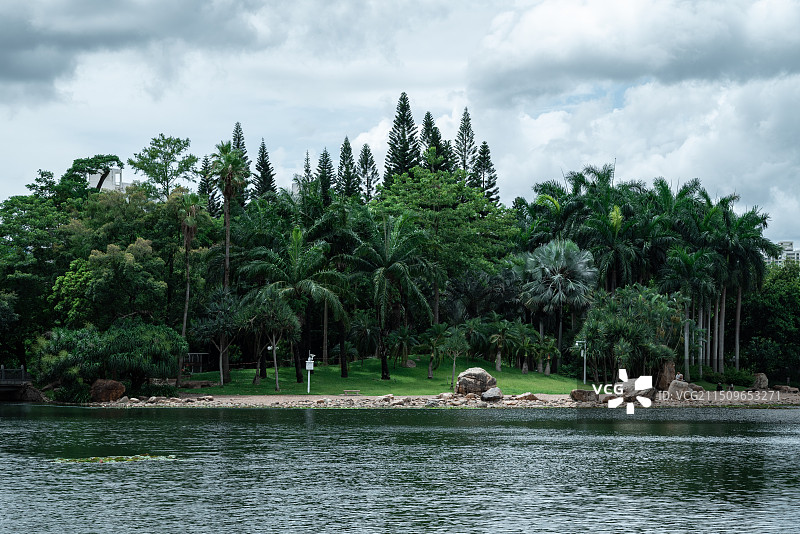 深圳荔枝公园图片素材
