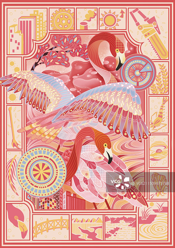 保护动物火烈鸟图片素材