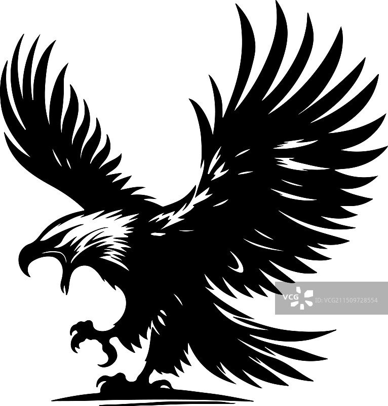 非洲鱼鹰黑白设计图片素材
