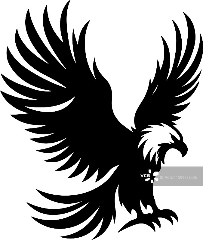 非洲鱼鹰黑白设计图片素材