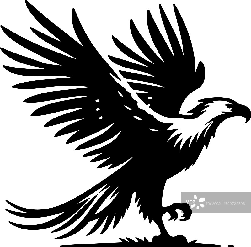 非洲鱼鹰黑白设计图片素材