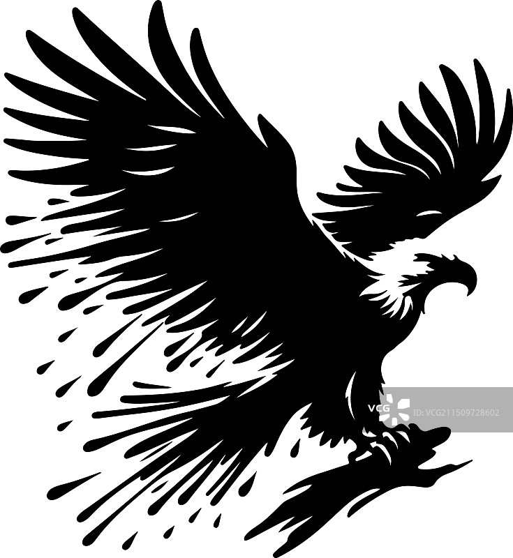 非洲鱼鹰黑白设计图片素材