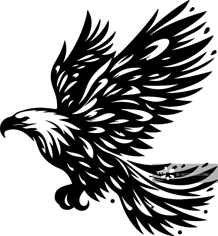 非洲鱼鹰黑白设计图片素材