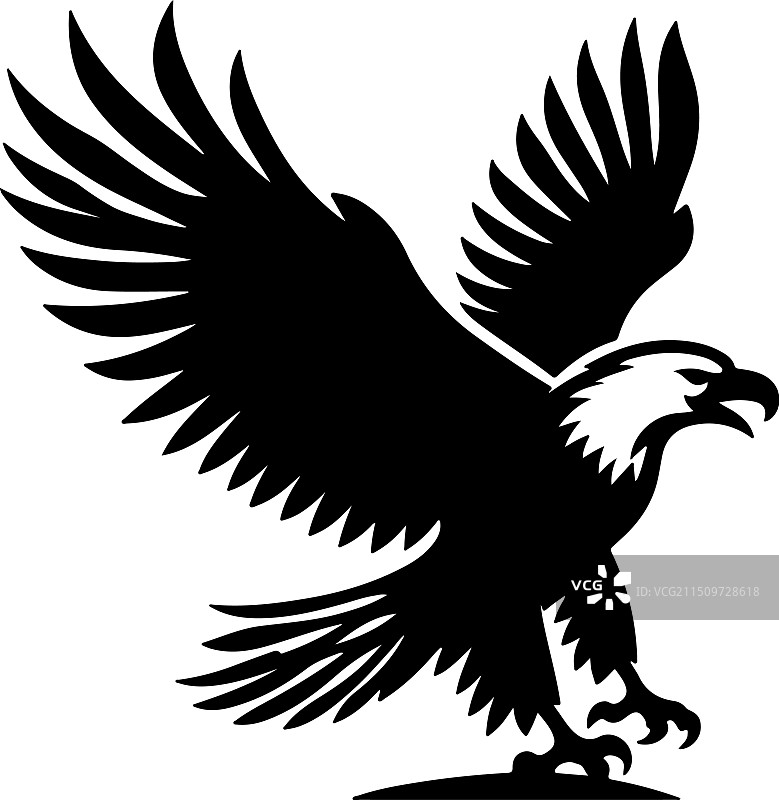 非洲鱼鹰黑白设计图片素材