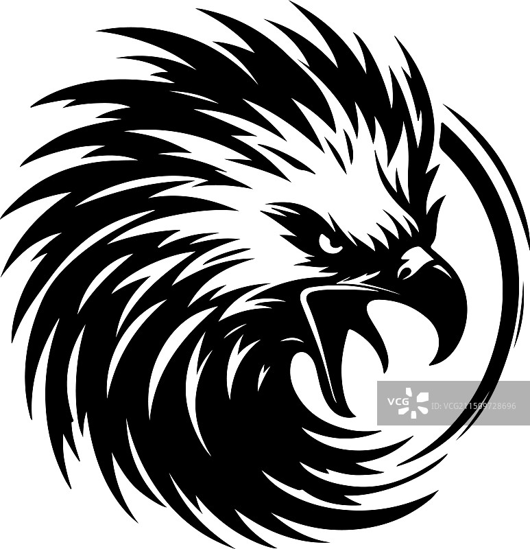 非洲鱼鹰黑白设计图片素材