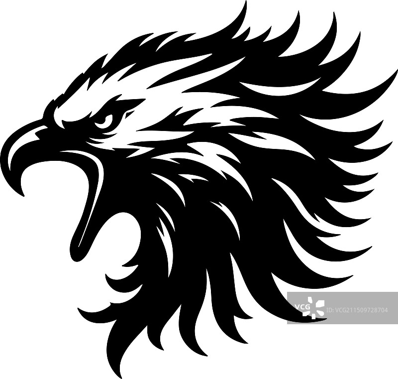 非洲鱼鹰黑白设计图片素材