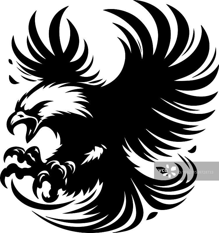 非洲鱼鹰黑白设计图片素材