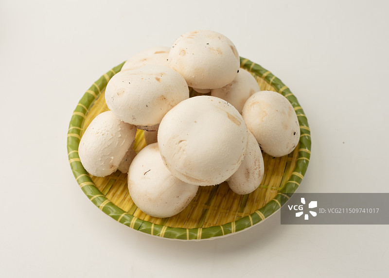 口蘑白蘑菇图片素材