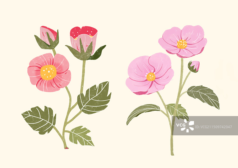 粉色花朵手绘插画图片素材