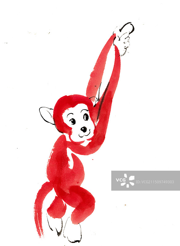 可爱的小猴子图片素材