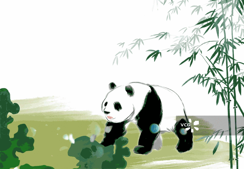 四川，大熊猫，国宝，熊猫，水墨风，格水彩动画中国风动画视频插画图片素材