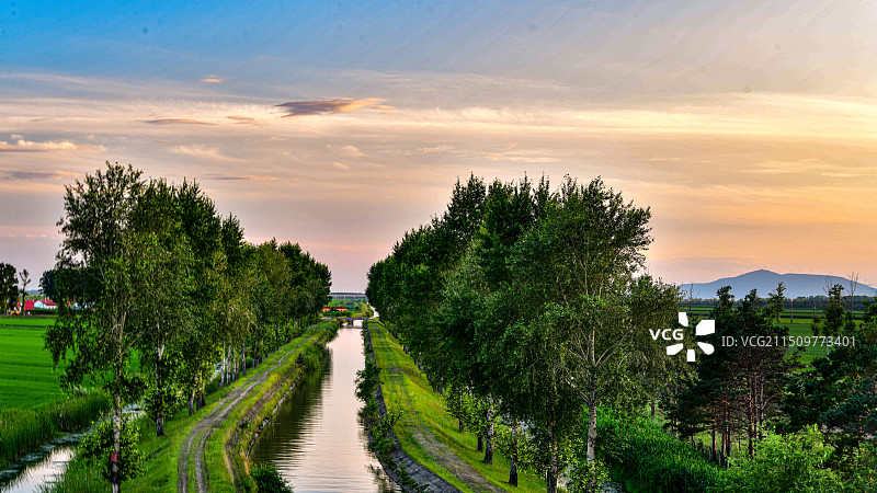 夕阳下田野上的水渠及防护林图片素材