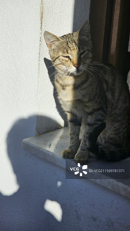 享受日光浴图片素材