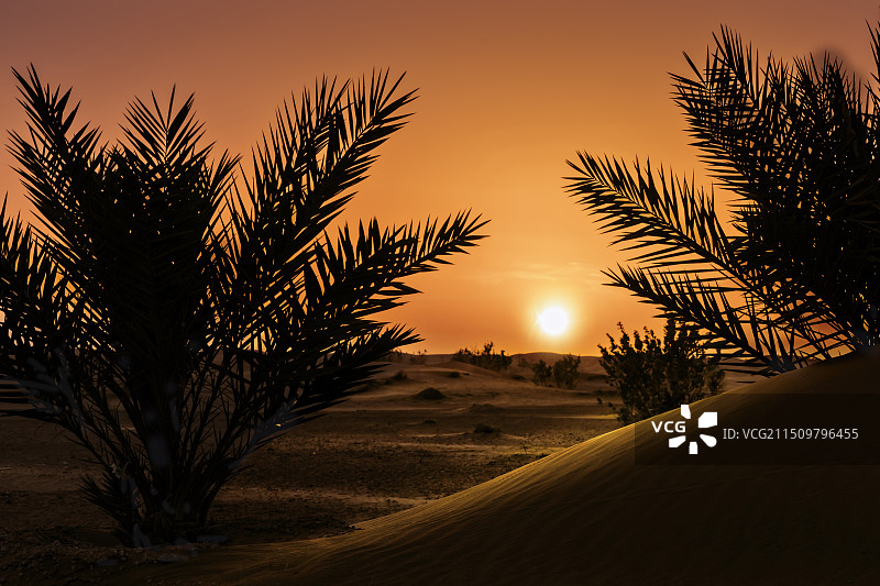 夕照— 梅祖卡撒哈拉沙漠图片素材