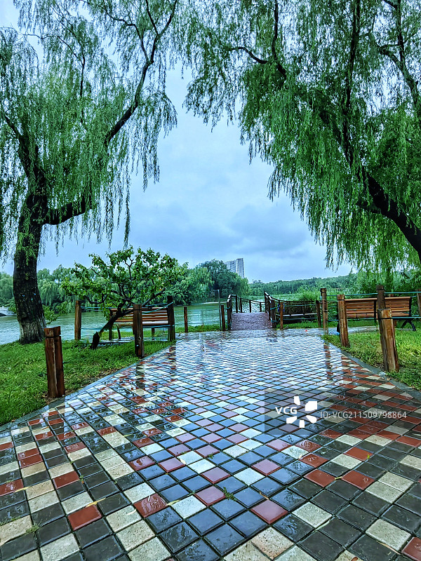 下雨天的公园图片素材