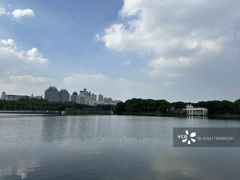 上海世纪公园天鹅湖与树林图片素材