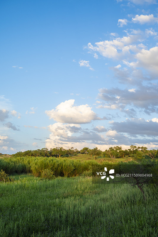 内蒙古锡林郭勒盟正蓝旗上都湖风光图片素材