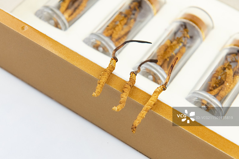 冬虫夏草和礼盒图片素材