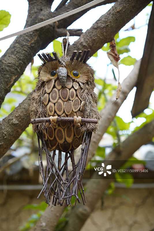 猫头鹰图片素材